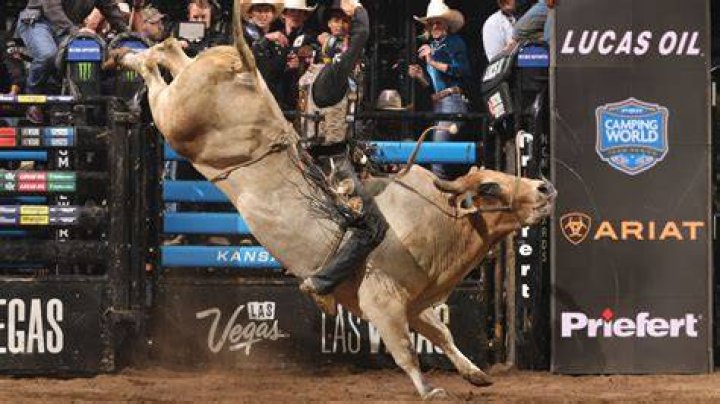 After Unexpected Defeat, 2X Bull Riding Champion Austin Gamblers Tears Up in
Front of Rodeo Crowd