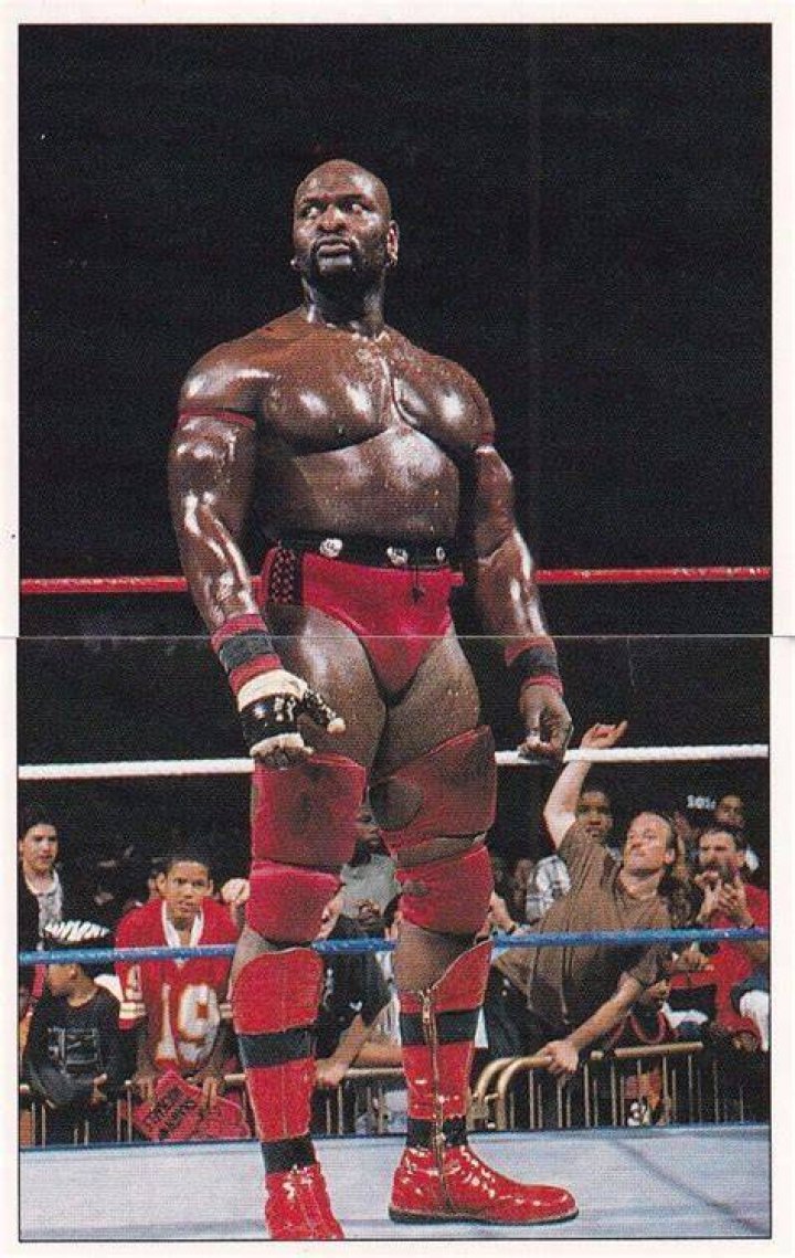  Ahmed Johnson, &amp; The Legion Of Doom vs The Nation Of Domination 