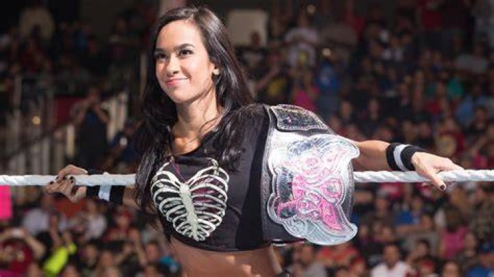 AJ Lee Divas Champion Cropped