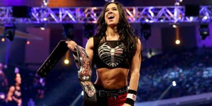 AJ Lee Divas Champion