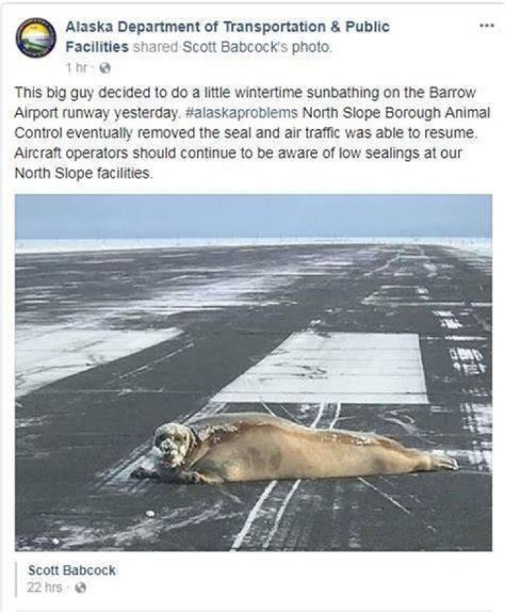 Alaska DOT/DPS Providing one of the best puns Aviation Humor