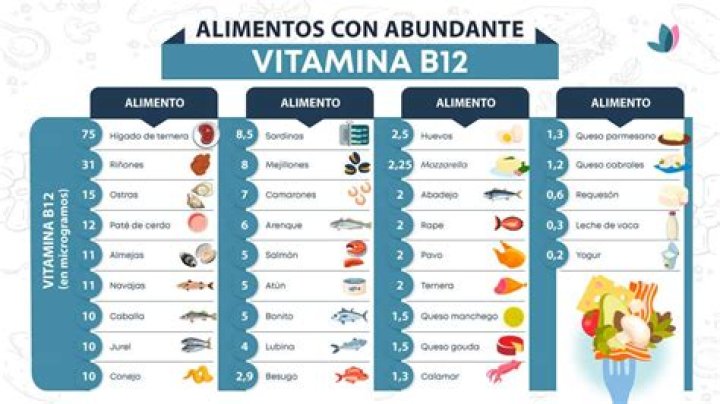 alimentos con vitamina b12 sardinas