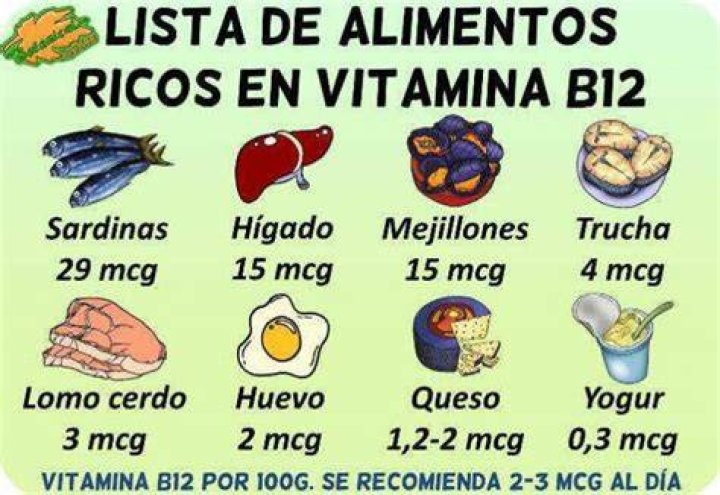 alimentos ricos en b12