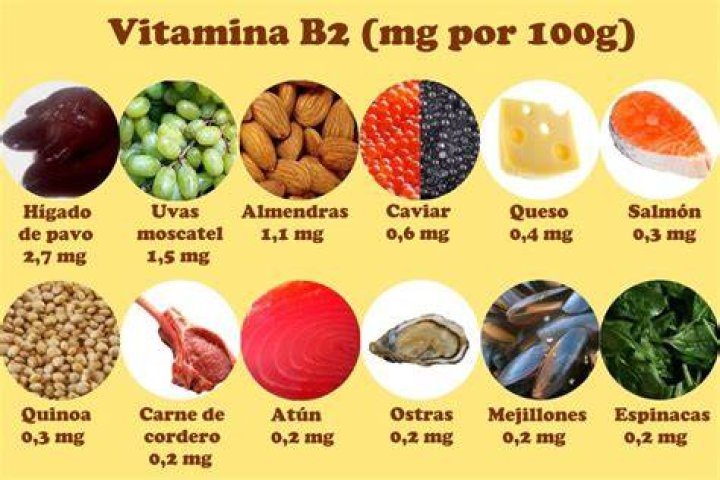 Alimentos ricos en vitamina B12 para incorporar a tu dieta