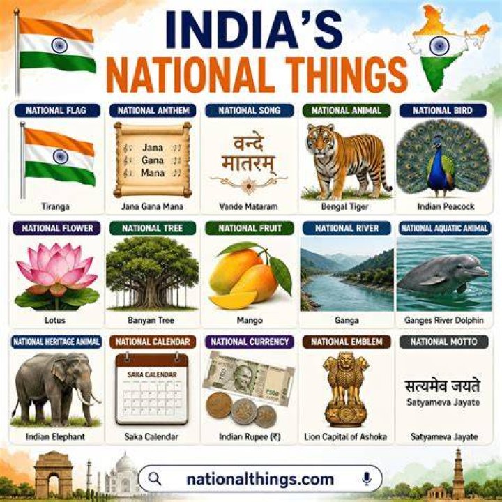 All Things About India Ann Sushil Sood