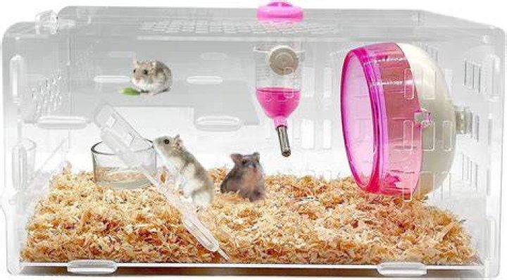 Amazon Basics Cage for Hamsters