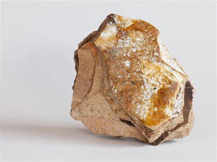 Ambergris has been named as a secret ingredient for perfume makers, including Chanel. Photo / Kevin Rheese, Wikimedia Commons