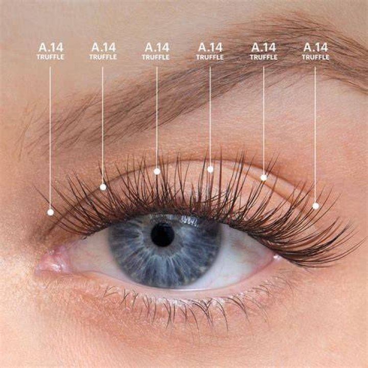 Amplify Gossamer&reg; Lashes