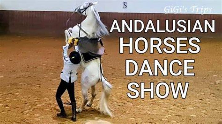 Andalusian horse dance LUXANDALUS EXPERIENCES