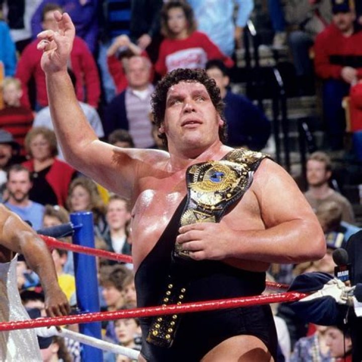 Andre The Giant WWF Champion Cropped
