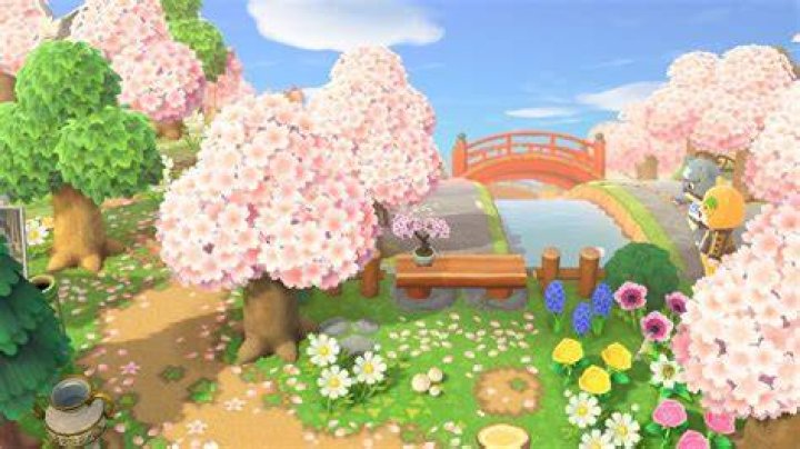 Animal Crossing Cherry Blossom Season Start 2022