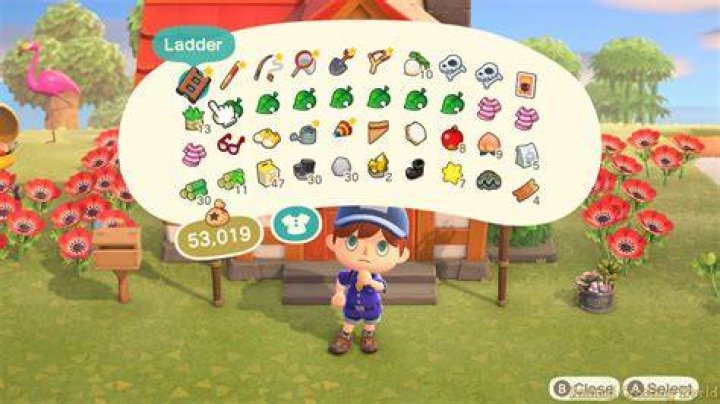 Animal crossing inventory