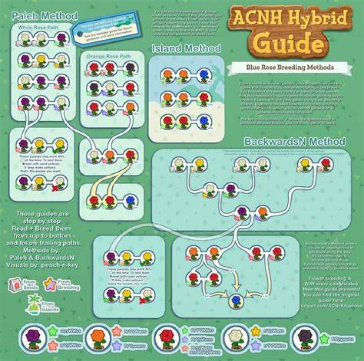 Animal Crossing New Horizons Hybrid Flower Field In The Rain