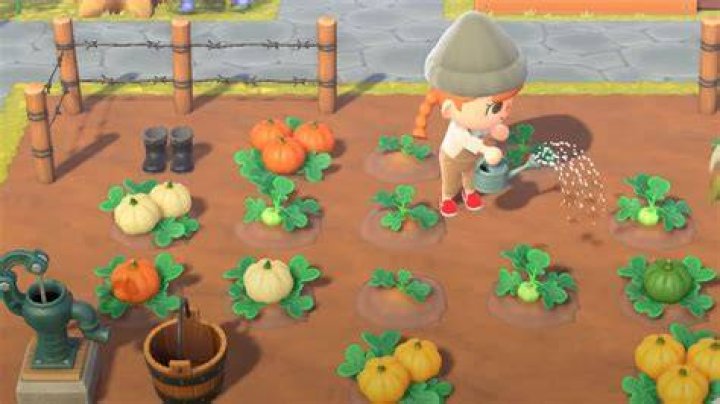 Animal Crossing: New Horizons Pumpkin guide - How to grow different colours and find all the DIY recipes