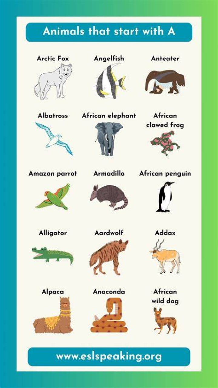 Animals That Start With Letter E