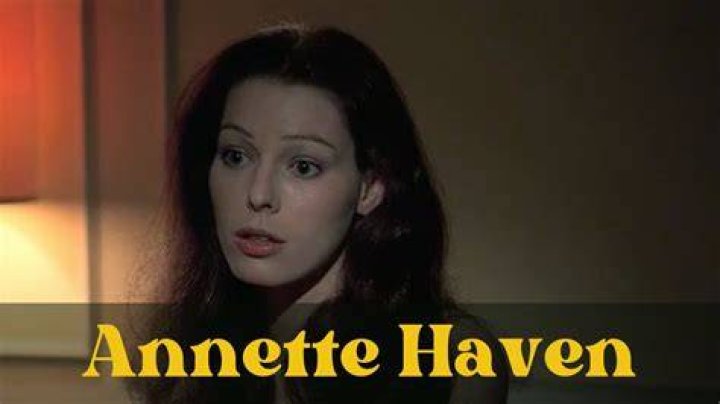Annett Haven: The Rising Star Of The Adult Film Industry