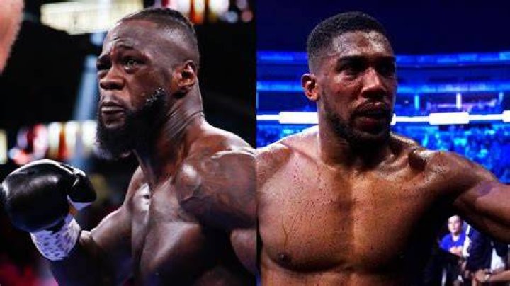 Anthony Joshua vs. Deontay Wilder Is Off, Title Fight With Filip Hrgović Next In Line