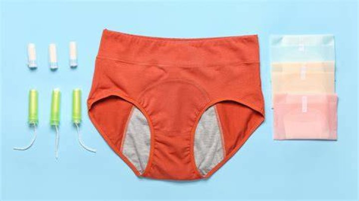 Are Aisle Period Panties Worth The Money?