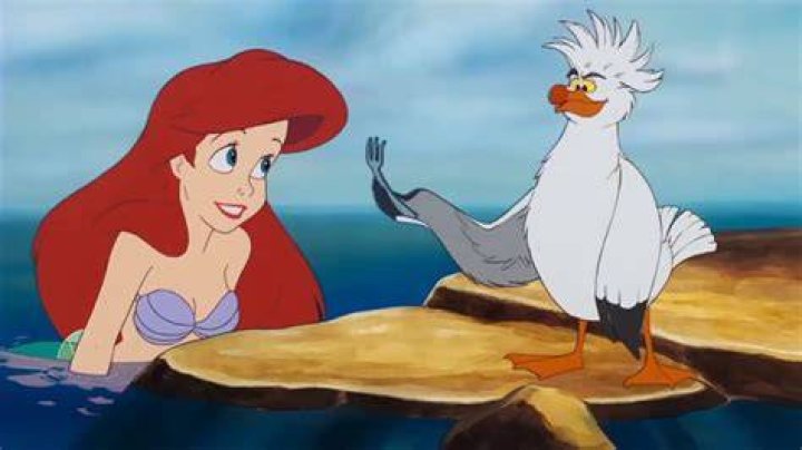 Ariel Meets With Scuttle In The Little Mermaid