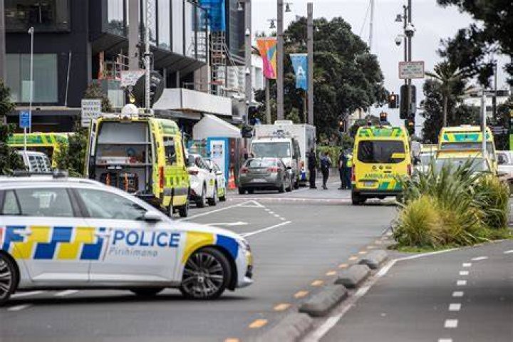 Auckland street fight - Video News