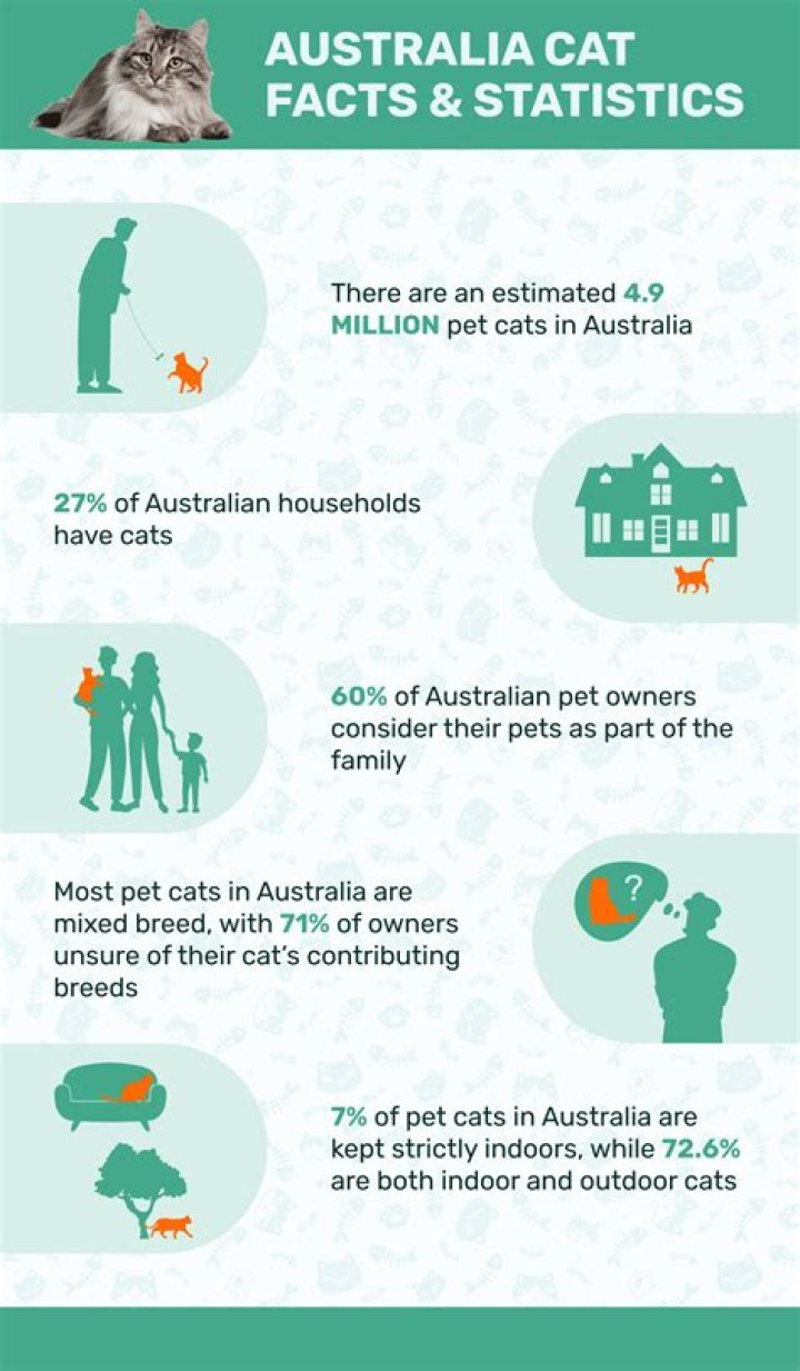 Australia Cat Facts and Statistics