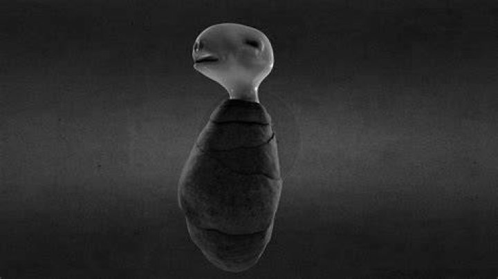 Baby in Eraserhead