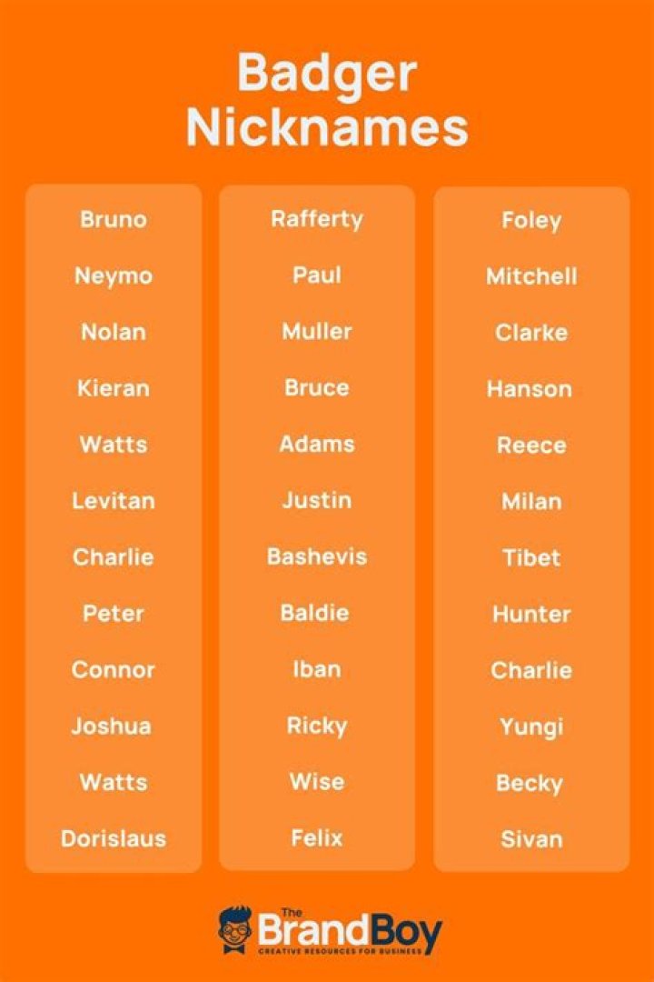 Badger Nicknames 640+ Cool and Catchy Nicknames BrandBoy