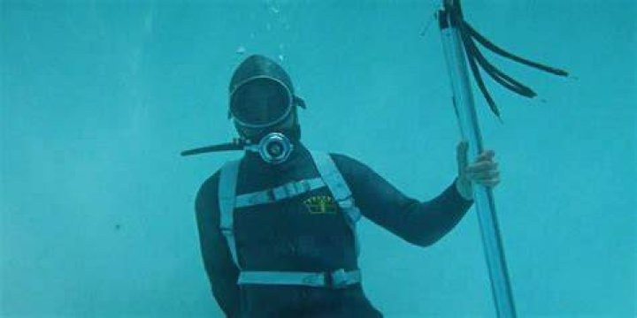 Benjamin in his scuba suit in the pool in The Graduate