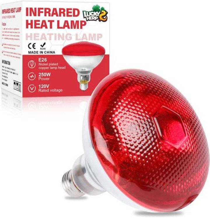 Best 1 Bulb Heat Lamp Via Homedepot