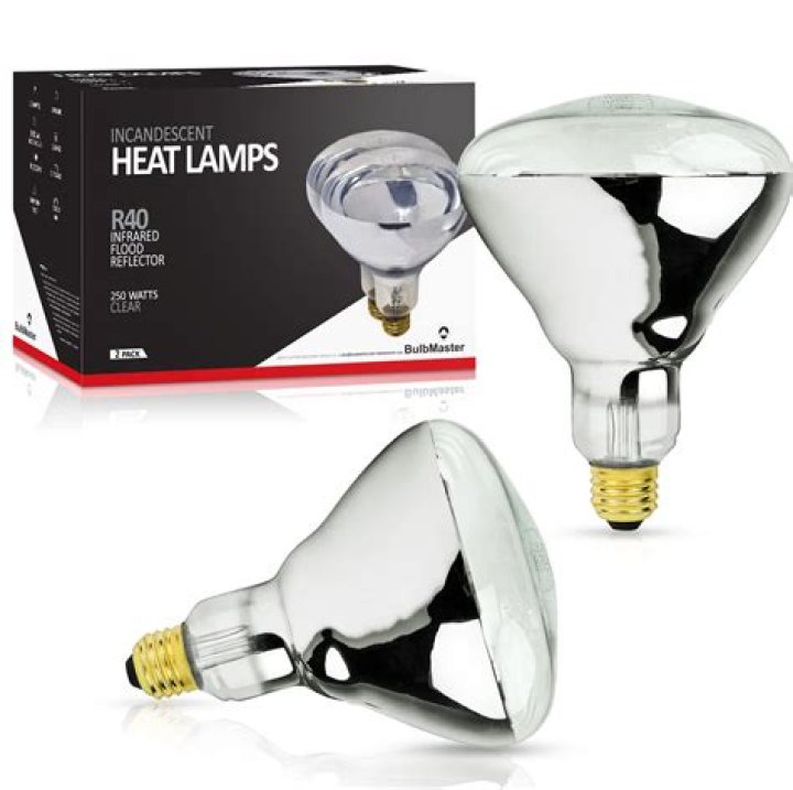 Best 2 Bulb Heat Lamp Via Homedepot