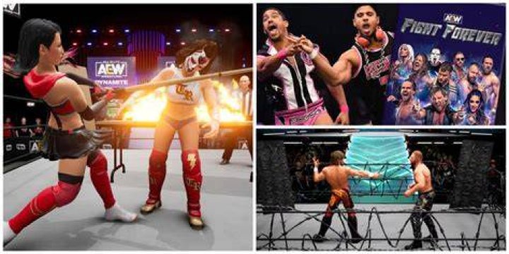 best worst features AEW Fight Forever
