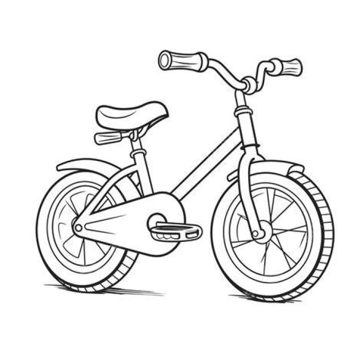 bicicleta bicicleta