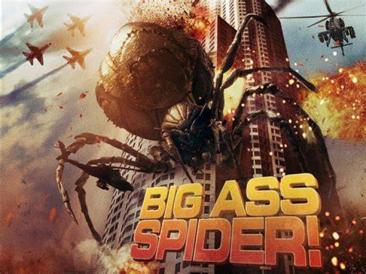 Big Ass Spider!