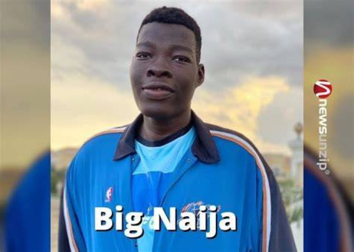 Big Naija Wiki, Biography, Age, Girlfriend, Family, Net Worth