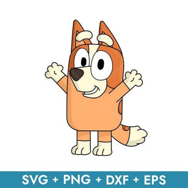 Bingo is the family dog of Cocomelon Bingo is the family dog of Cocomelon