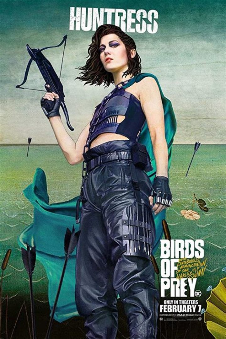 Birds of Prey Huntress