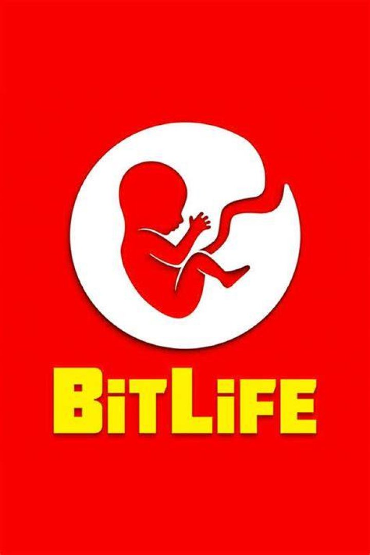 BitLife Game Poster