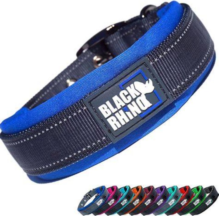 Black Rhino dog collar