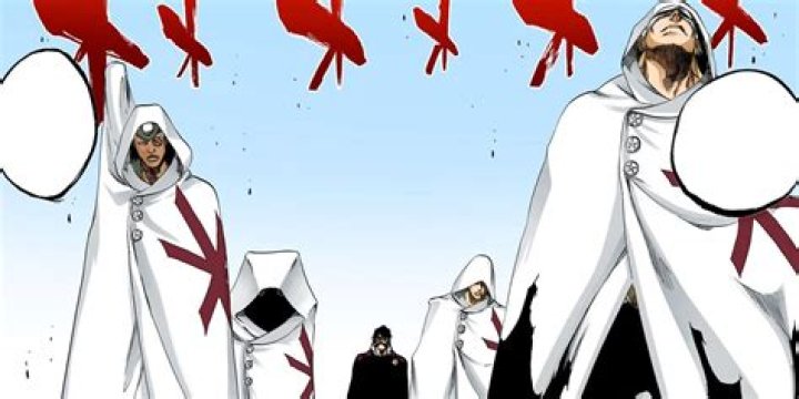 Bleach Schutzstaffel &mdash; Pernida The Compulsory