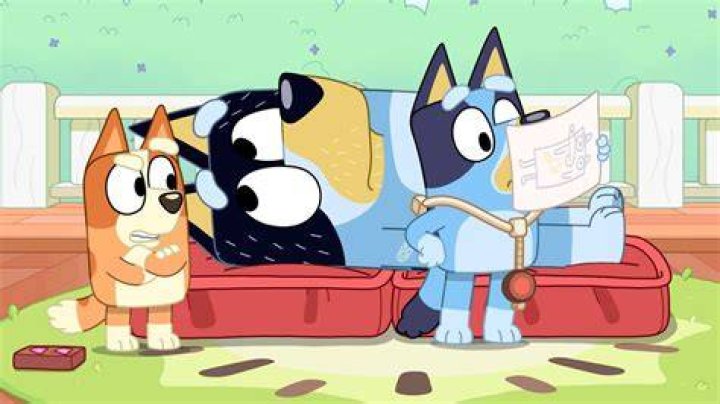 Bluey fans have leapt to the show's defence. Photo / Supplied