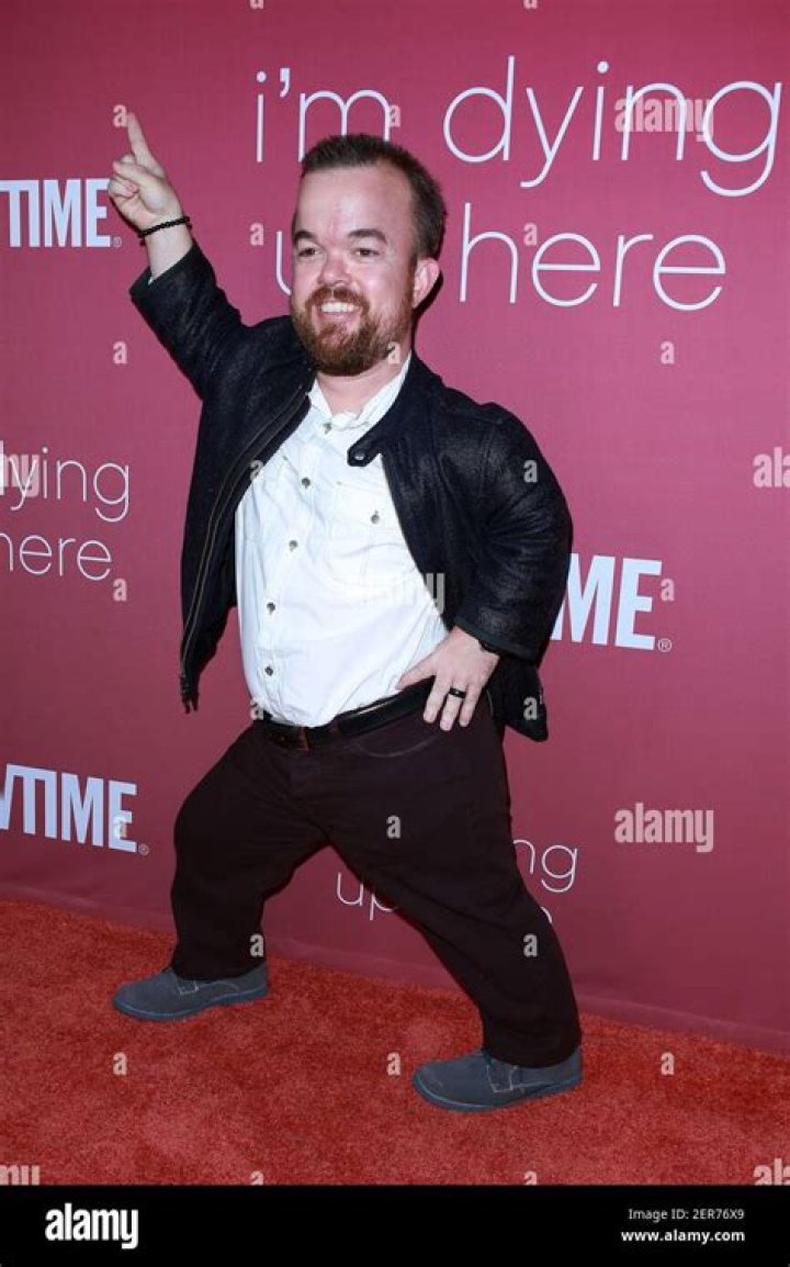 Brad Williams Filmography, List of Brad Williams Movies and TV Shows