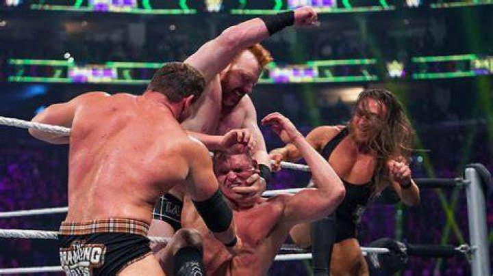 Brawling Brutes WWE