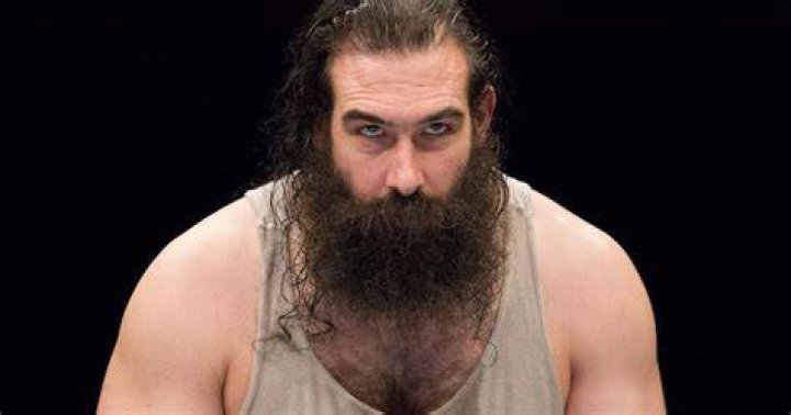 Bray Wyatt Working On Having Luke Harper Join Firefly Fun House