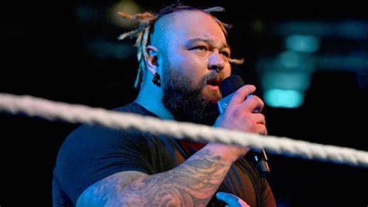 Bray Wyatt WWE promo