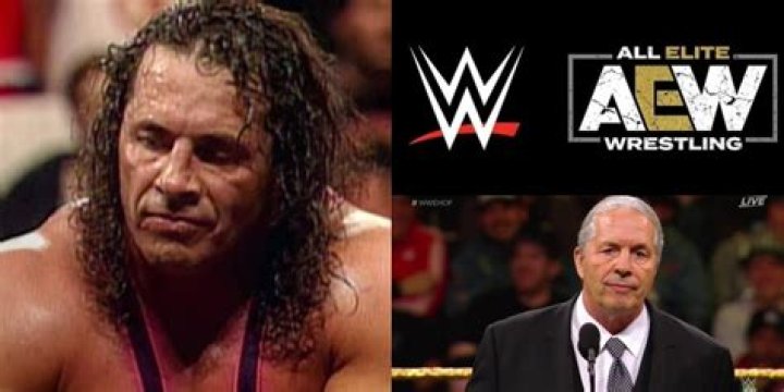 Bret Hart's Problem With Modern Pro Wrestling, Explained
