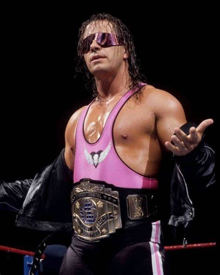 Bret Hart In WCW 