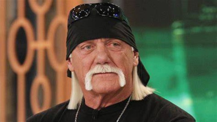 Bret Hart Takes Another Huge Shot At Hulk Hogan During Q&A Segment