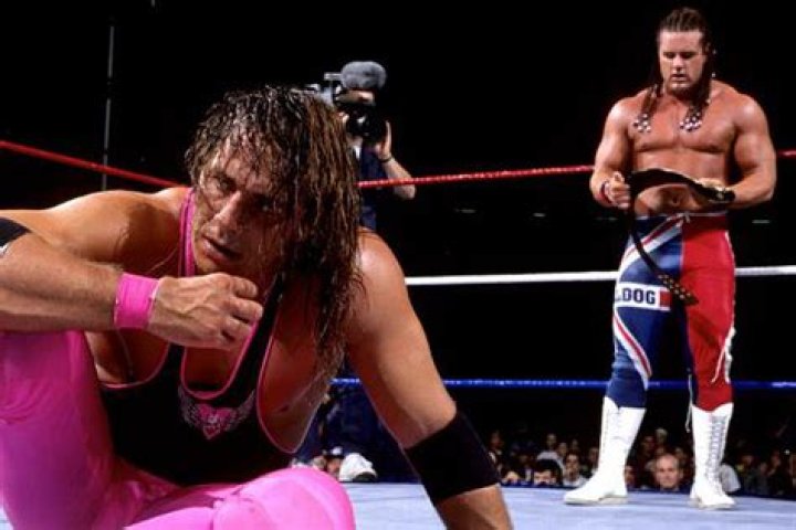 Bret Hart vs Davey Boy Smith at SummerSlam