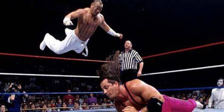 Bret Hart vs Hakushi