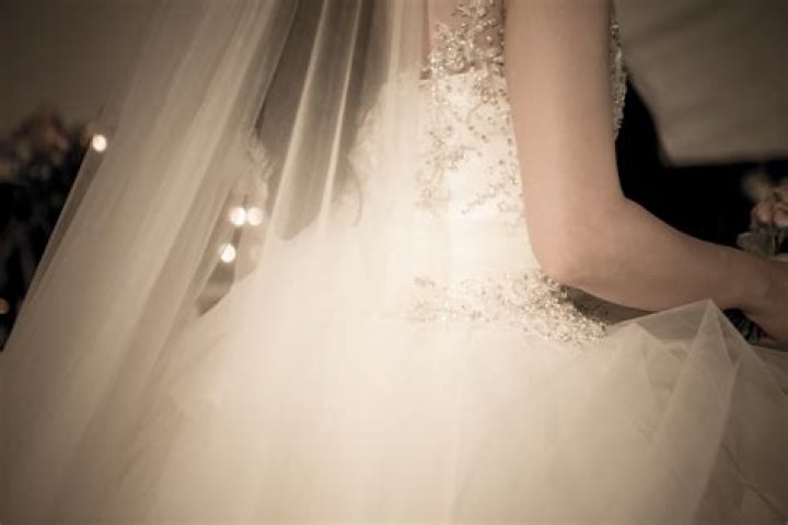 Bride, Photograph, Wedding dress, Ceremony, Wedding, Bridal clothing, Dress, Marriage, Gown, Formal wear, 